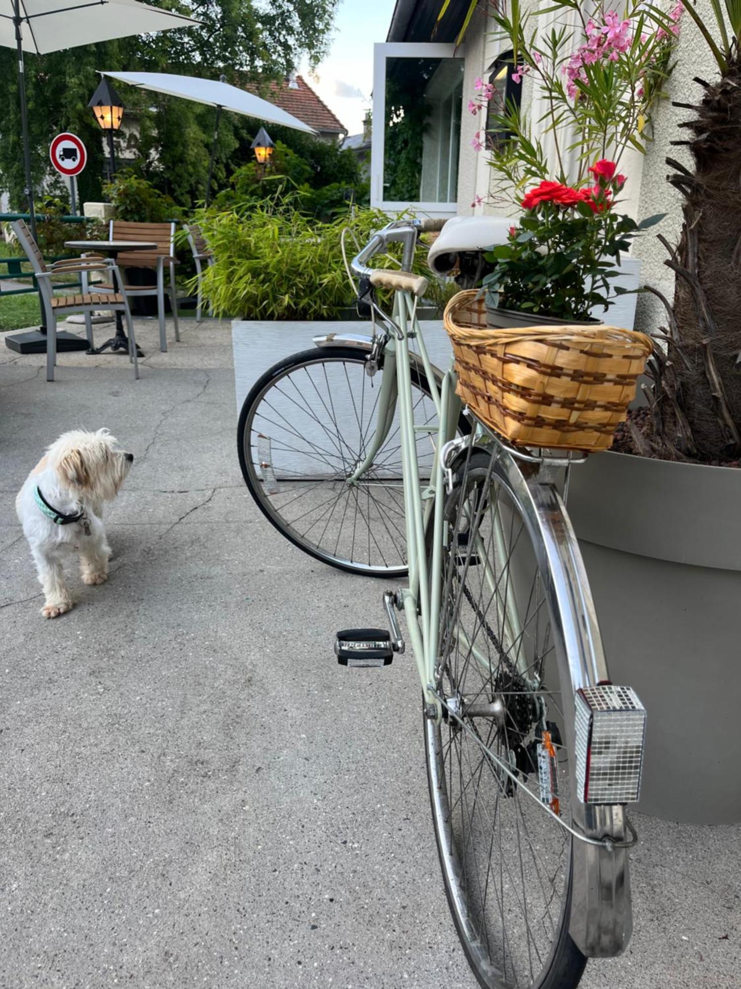 Savoy Hotel Le Bourget-du-Lac